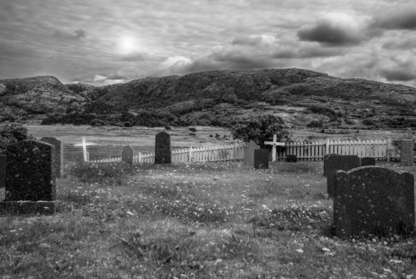 ERP projects graveyard