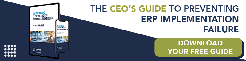 CEO's Guide to Preventing ERP Implementation Failure - banner